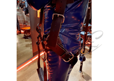 Enfettered Foot suspension harness