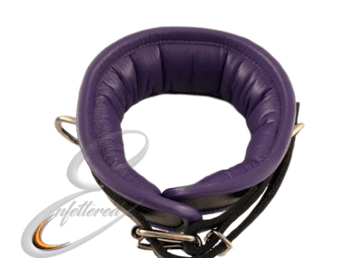 Enfettered Padded LeatherCollar