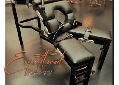 Enfettered bondage bench