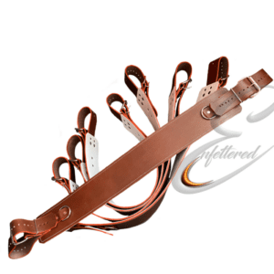 Enfettered Institutional Asylum Restraints – Bed Straps TakeMe