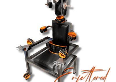 Enfettered Justice Chair MAin