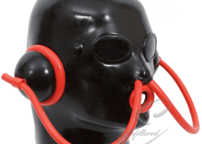 Enfettered Discipline Mask DFM 2