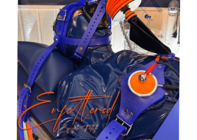 Enfettered Silicone Head Restraint