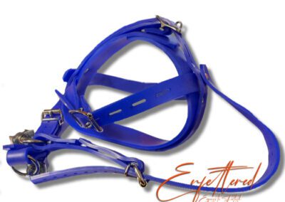 Enfettered Silicone Head and Jaw Harness