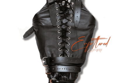 Enfettered Leather Arm Binders 1