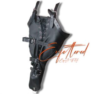 Enfettered Padded Leather Predicament  Arm Binders