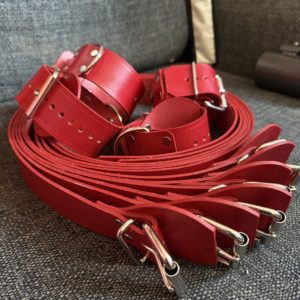 Enfettered Leather Body Strap Set 2Go