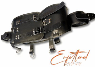 Enfettered Waist to Arm Bondage System