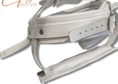 Enfettered Detention Head Strap Cage