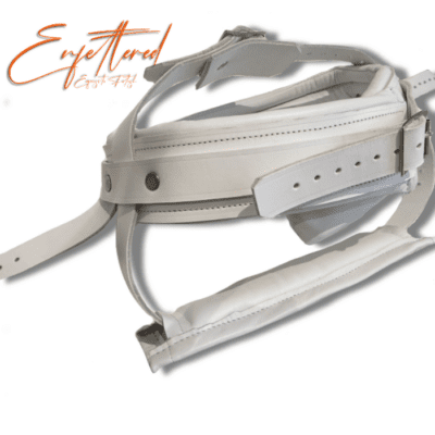 Enfettered Detention Facility Restraints - Head and Jaw