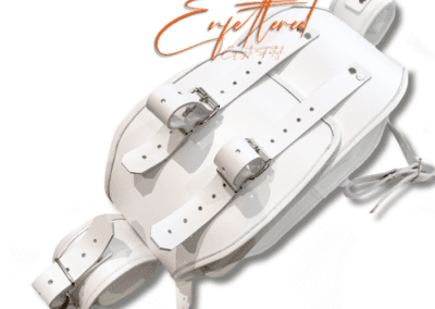 Enfettered Detention Waist to Forearm Belt