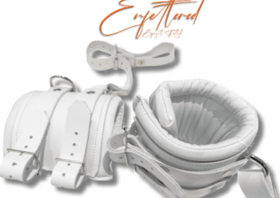 Enfettered Detention Wrist Cuffs