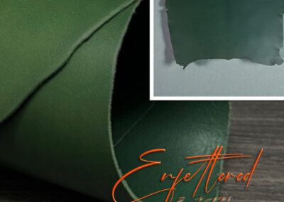 Enfettered forest green